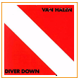 Diver Down